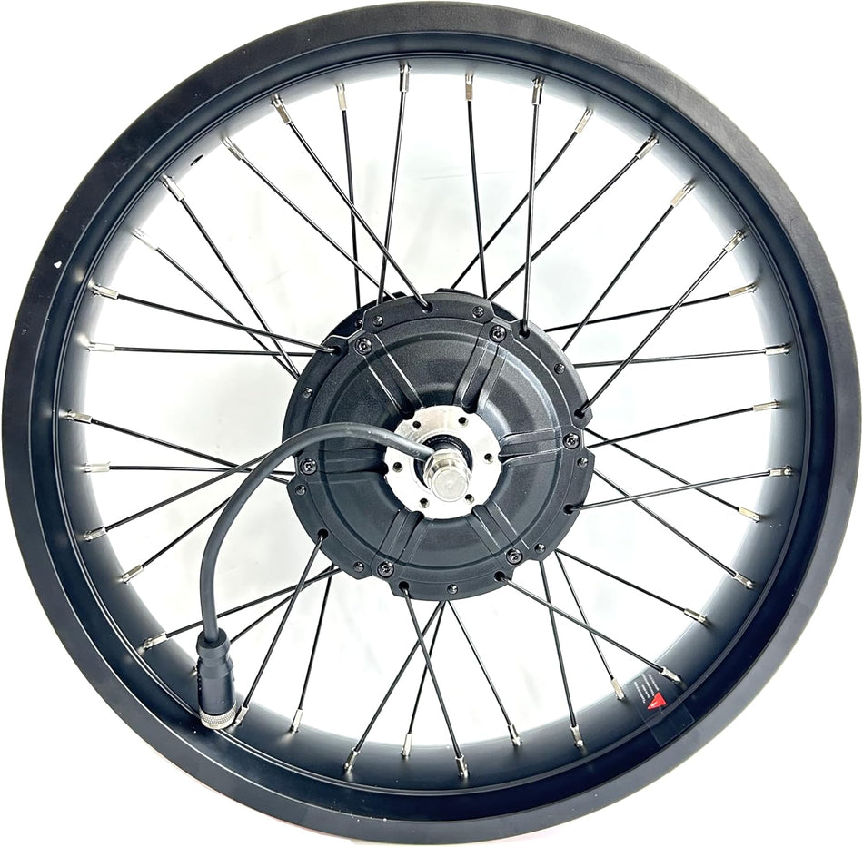 Electric Fat Bike Front Hub Motor Wheel 48V500W Snow Bicycle Engine 20x4.0 inch Double Wall Rim Front Drive Disc Brake Spare Motor Replacement FM G0200.500.D